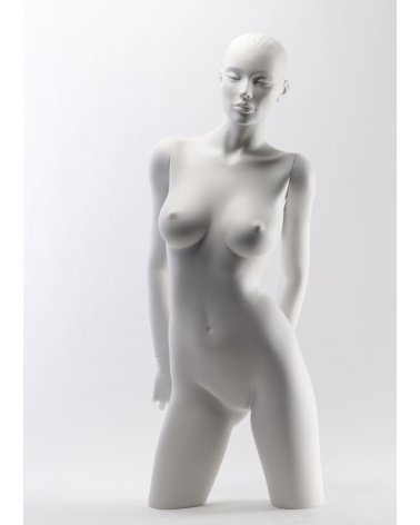 Torso Mujer erotico