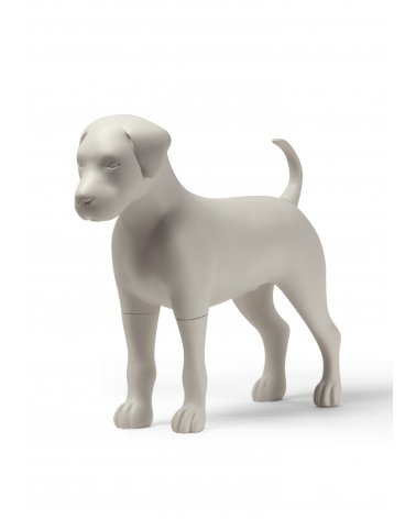 Perro Decorativo Max